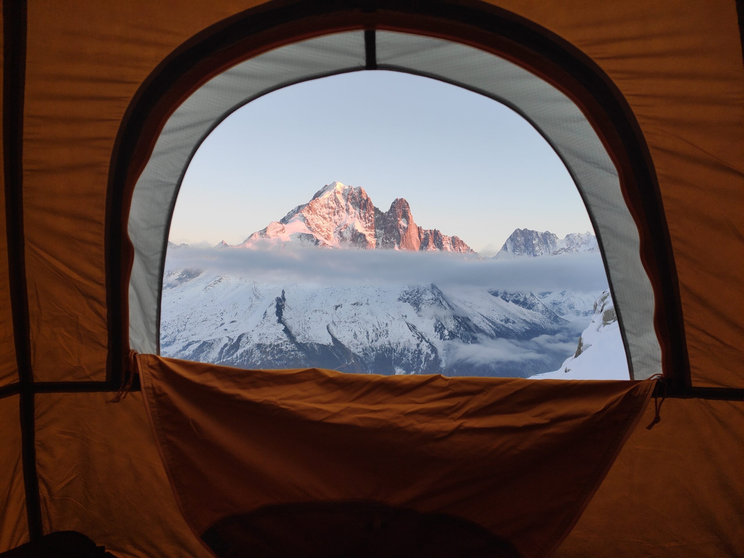 showcase-image